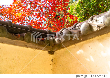 瓦屋根にかかる紅葉 瓦屋根にかかる紅葉 133724518