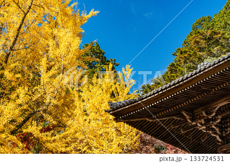 紅葉に包まれた寺 紅葉に包まれた寺 133724531