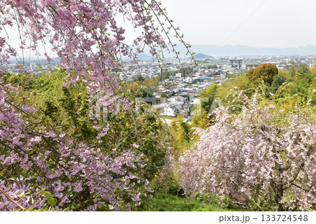 春の大神神社展望台 春の大神神社展望台 133724548