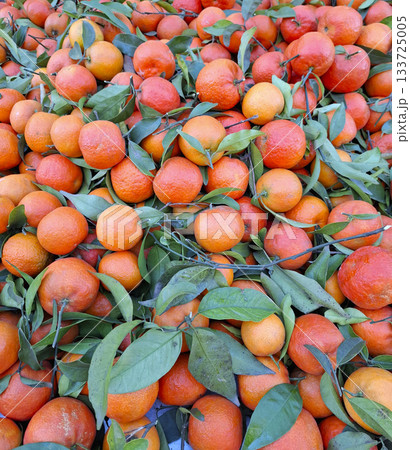 Bright orange tangerines with green leaves are displayed in abundance at a busy farmers' market in Spain. The market showcases fresh produce in an inviting atmosphere. 133725005