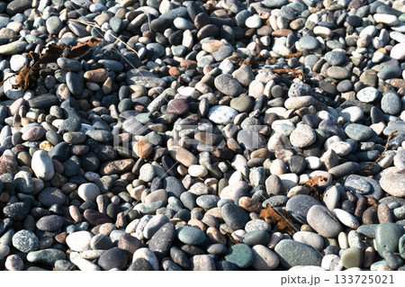 A serene coastal scene showcases smooth, colorful pebbles under bright sunlight. This luxurious setting invites relaxation, ideal for spa treatments by the sea. A serene coastal scene showcases smooth, colorful pebbles under bright sunlight. This luxurious setting invites relaxation, ideal for spa treatments by the sea. 133725021