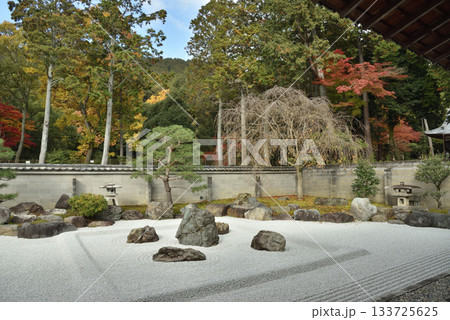 秋の安祥寺庭園　五智遍明庭(京都市山科区) 133725625