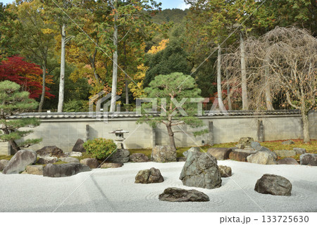 秋の安祥寺庭園　五智遍明庭(京都市山科区) 133725630