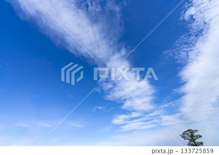 秋空と雲と木立 秋空と雲と木立 133725859