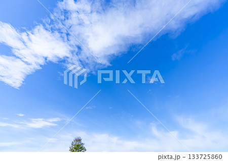 秋空と雲と木立 秋空と雲と木立 133725860