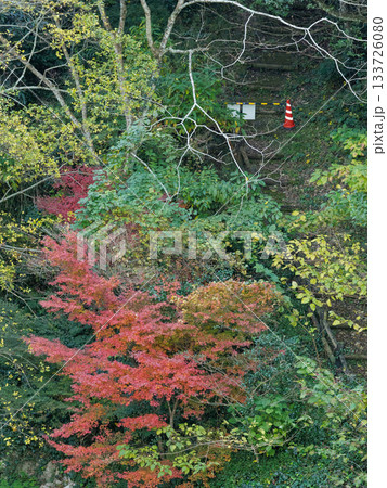 立神峡の秋、通行止め 133726080