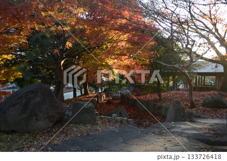 錦秋の姫路_三左衛門堀 133726418