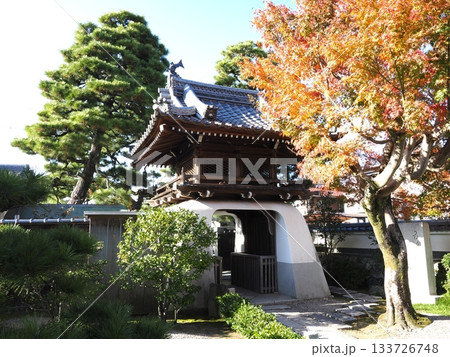 紅葉に包まれたお寺 133726748