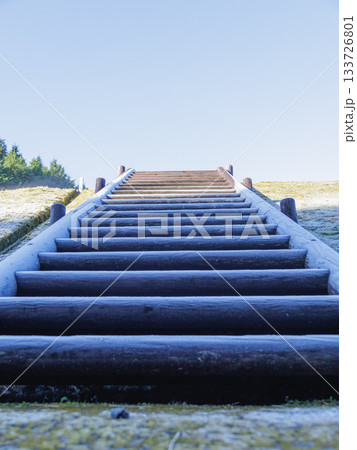 未来へと続く階段 未来へと続く階段 133726801