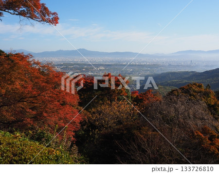 幻想的な朝の風景 幻想的な朝の風景 133726810