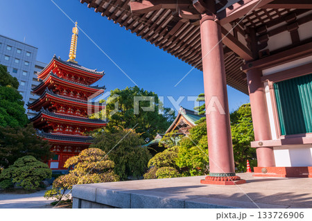 Tochoji Temple pagoda in early autumn against blue sky, Fukuoka Tochoji Temple pagoda in early autumn against blue sky, Fukuoka 133726906