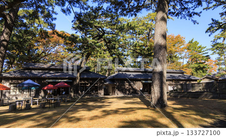 沼津御用邸記念公園の秋 133727100
