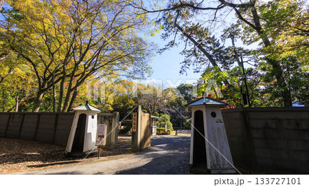 沼津御用邸記念公園の秋 沼津御用邸記念公園の秋 133727101