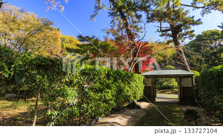 沼津御用邸記念公園の秋 133727104