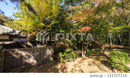 沼津御用邸記念公園の秋 133727110