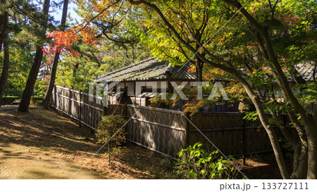 沼津御用邸記念公園の秋 沼津御用邸記念公園の秋 133727111
