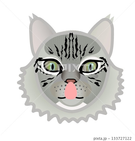 サイベリアン猫の顔のイラスト 133727122