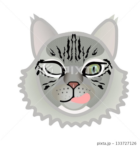 サイベリアン猫の顔のイラスト 133727126