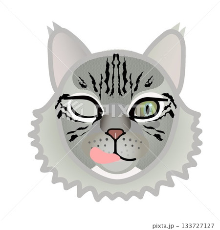 サイベリアン猫の顔のイラスト 133727127