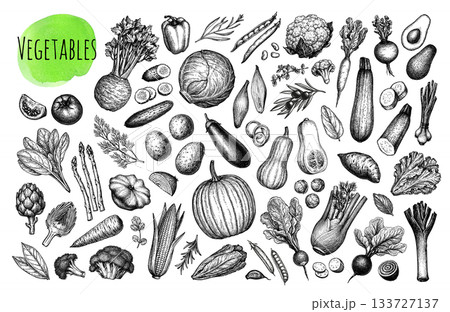 Big collection of vegetable ink sketches. 133727137