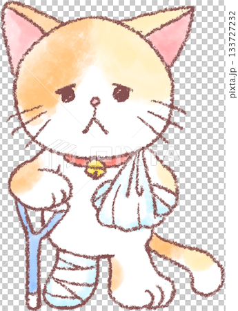 Cute cat illustration_Cat_Injured cat illustration 133727232