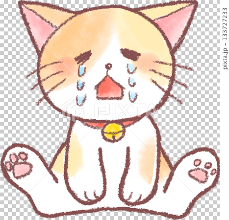 可愛い猫のイラスト_猫_泣くネコのイラスト 133727233
