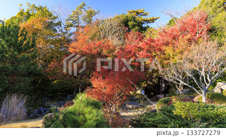 葉山しおさい公園の秋 葉山しおさい公園の秋 133727279