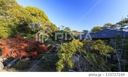 葉山しおさい公園の秋 葉山しおさい公園の秋 133727284