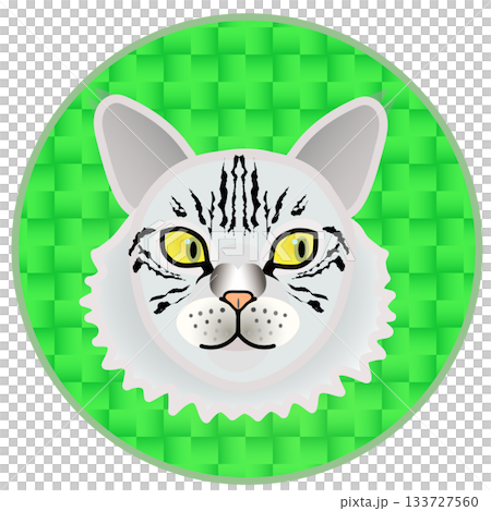Siberian cat face illustration with circular background Siberian cat face illustration with circular background 133727560