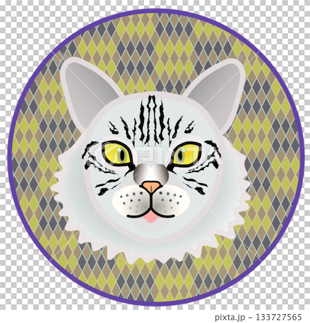 Siberian cat face illustration with circular background Siberian cat face illustration with circular background 133727565
