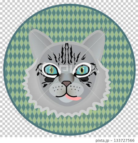 Siberian cat face illustration with circular background 133727566