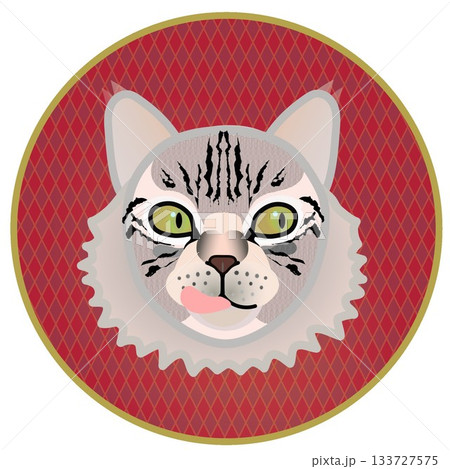 円形背景のついたサイベリアン猫の顔イラスト 円形背景のついたサイベリアン猫の顔イラスト 133727575