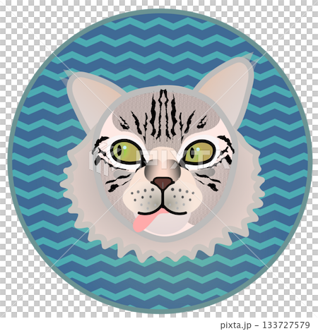 Siberian cat face illustration with circular background Siberian cat face illustration with circular background 133727579