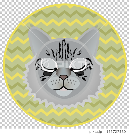 Siberian cat face illustration with circular background Siberian cat face illustration with circular background 133727580