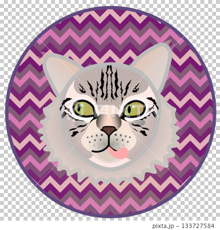 Siberian cat face illustration with circular background Siberian cat face illustration with circular background 133727584