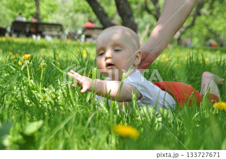 Baby Exploring Grass in Sunny Park Setting Baby Exploring Grass in Sunny Park Setting 133727671