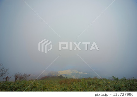 氷ノ山　登山の風景 133727996