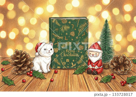 猫とサンタのクリスマスディスプレイ 133728017