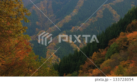 ナメゴ谷の絶景 針葉樹の緑と尾根筋を彩る紅葉のコントラスト 133728054