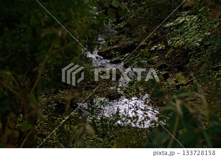 氷ノ山　登山の風景 133728158