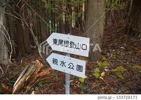 氷ノ山　登山の風景 133728171