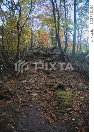 氷ノ山　登山の風景 133728190