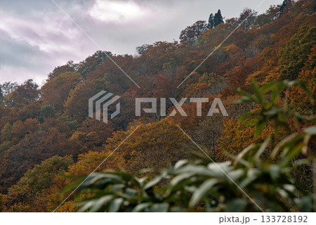 氷ノ山　登山の風景 133728192