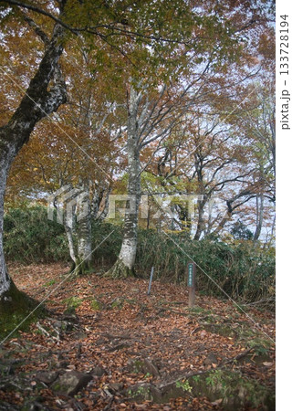 氷ノ山 登山の風景 氷ノ山 登山の風景 133728194