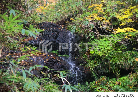 氷ノ山　登山の風景 133728200