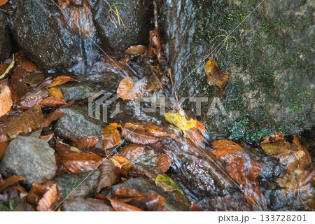 氷ノ山　登山の風景 133728201