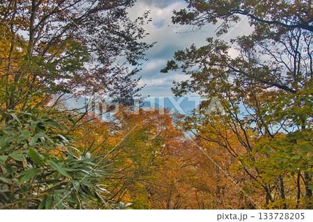 氷ノ山　登山の風景 133728205