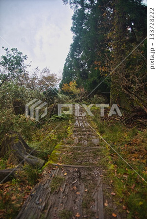氷ノ山　登山の風景 133728222