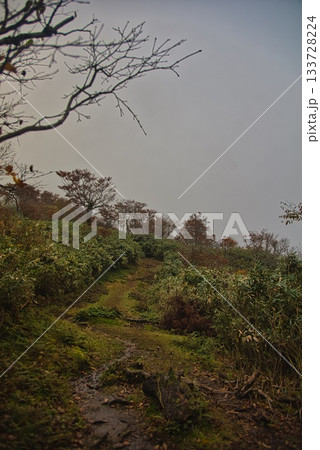 氷ノ山　登山の風景 133728224