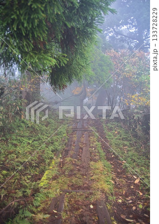 氷ノ山　登山の風景 133728229